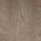 Dąb